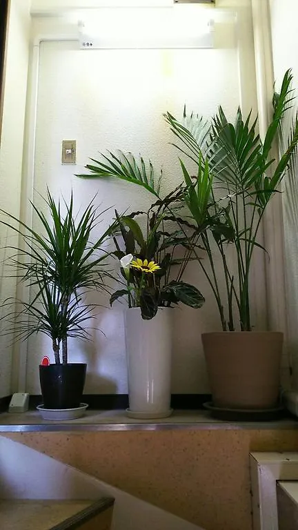 Kr House Hotel Osaka 0*,